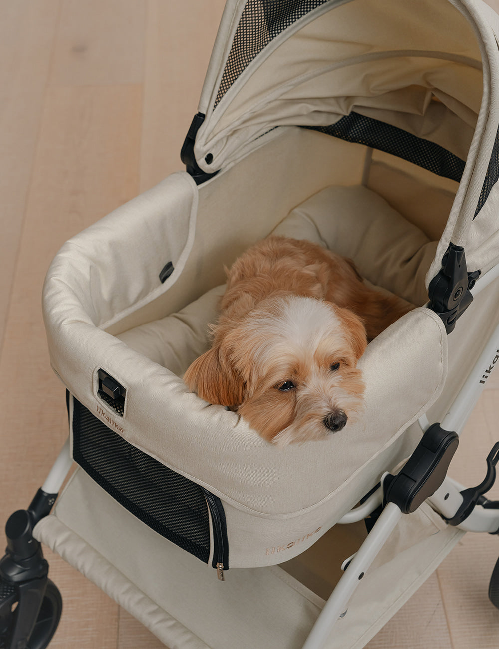 All Day Plus Stroller Additional Items