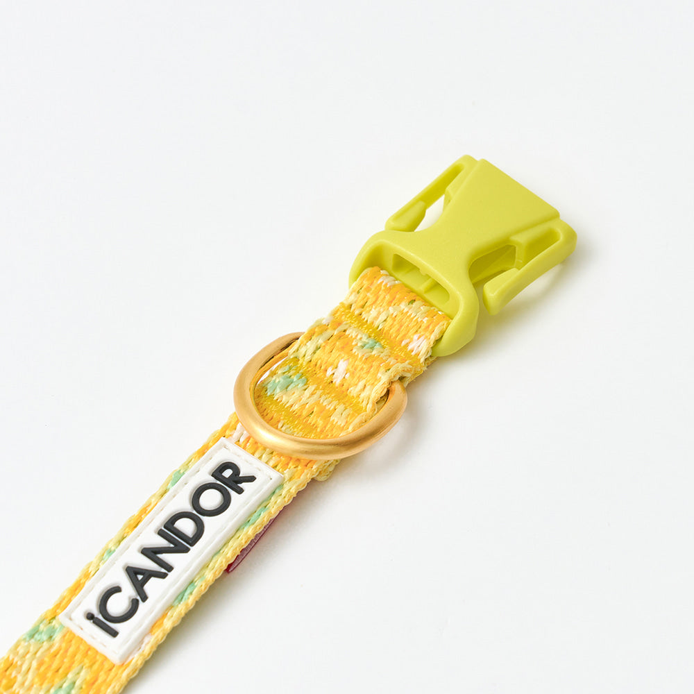 Gentle Collar XS 15mm (Big Fish Yellow)