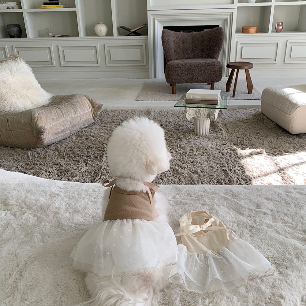 Ballet Ribbed Sleeveless Dress (2 colors)