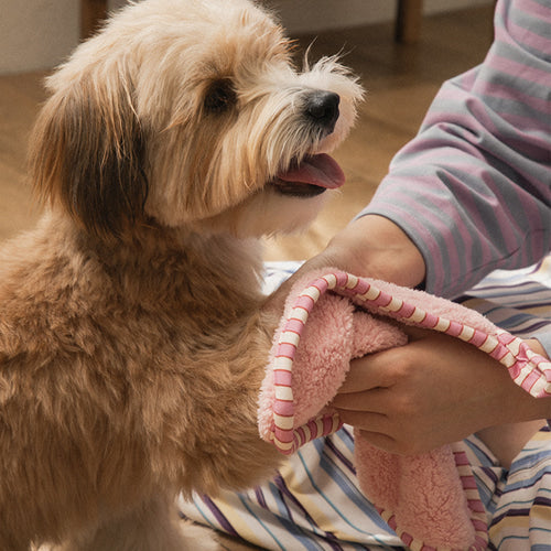 Bite Me X FINCA Dry Me Microfiber Pet Towel Mini (2 colors)