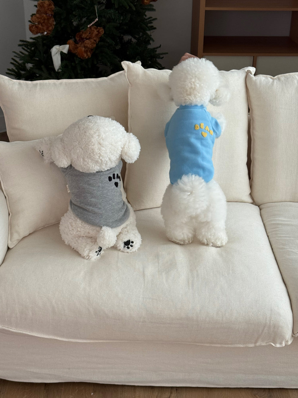 Cotton Candy Sweatshirt (4 colors)