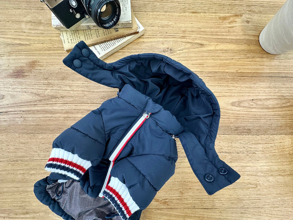 Tricolor Hooded Puffer Jacket (3 colors)