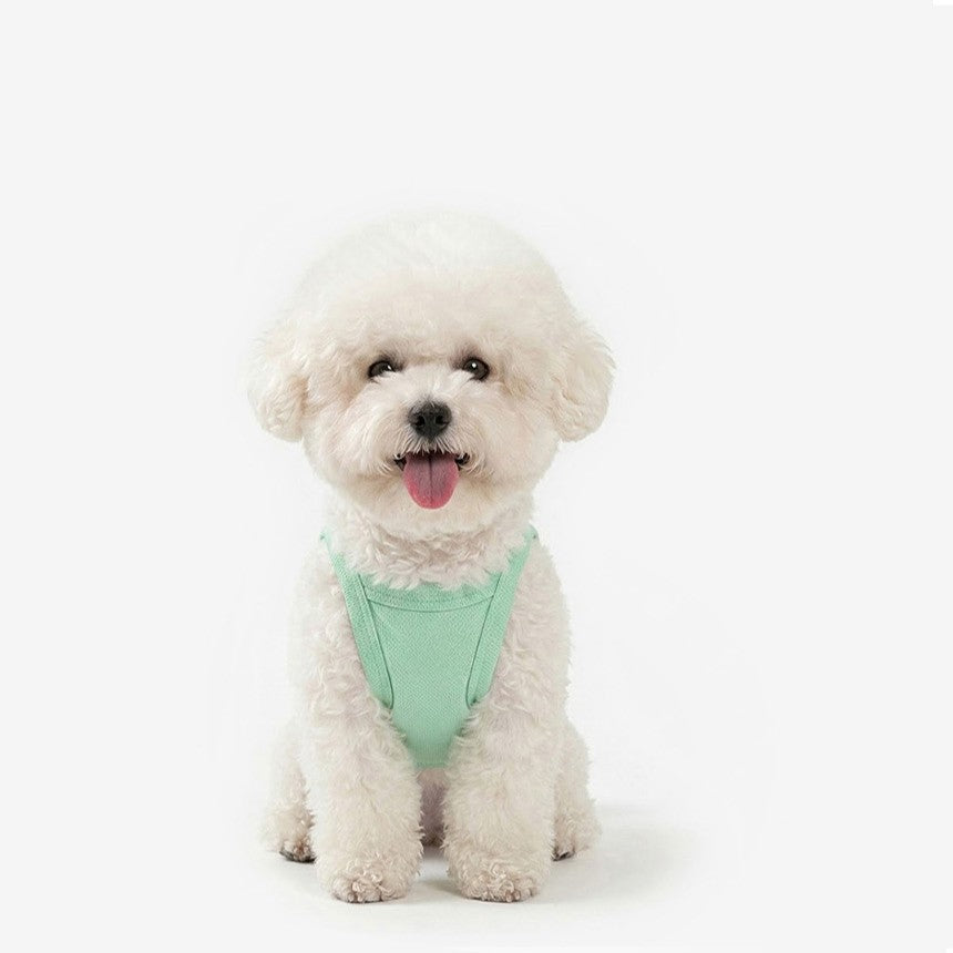 Cool Top (Mint)