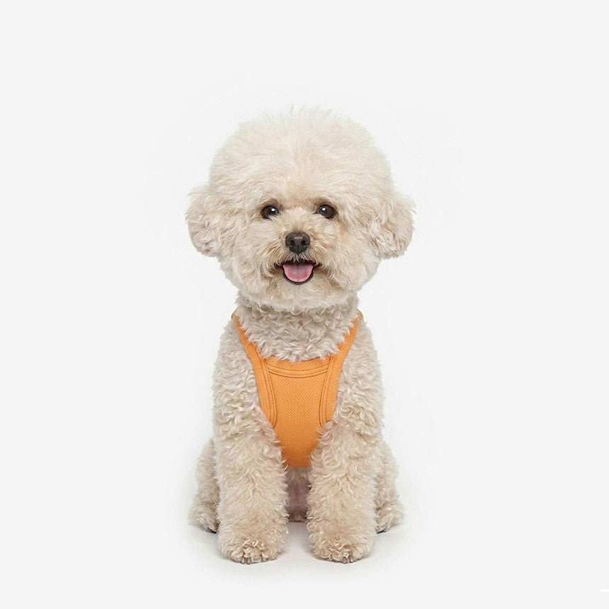 Cool Top (Orange)