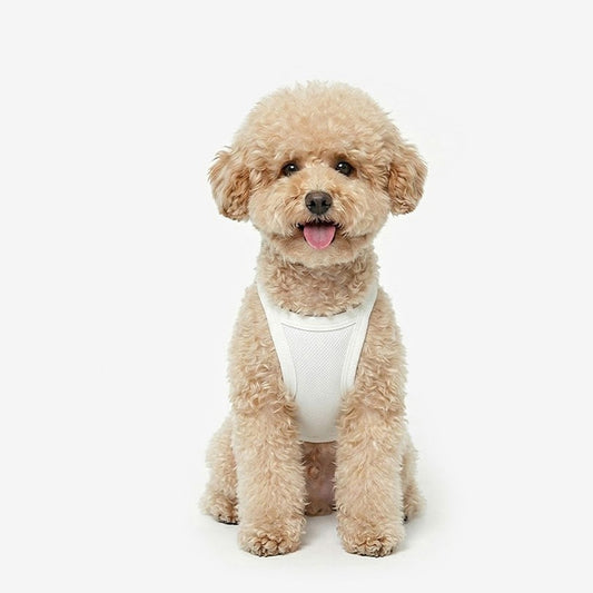 Cool Top (Ivory)