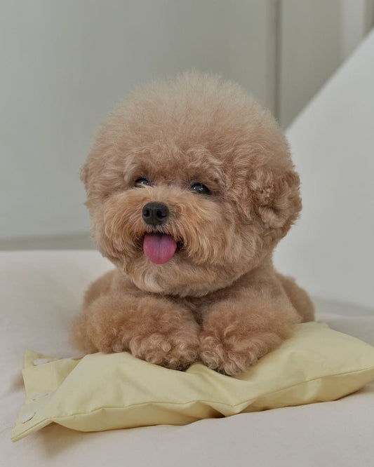 Mini Button Pillow Lemonade