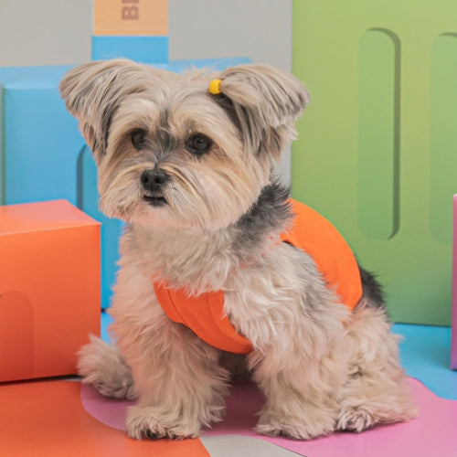 Ice Cool-Rop T-Shirts (6 colors)