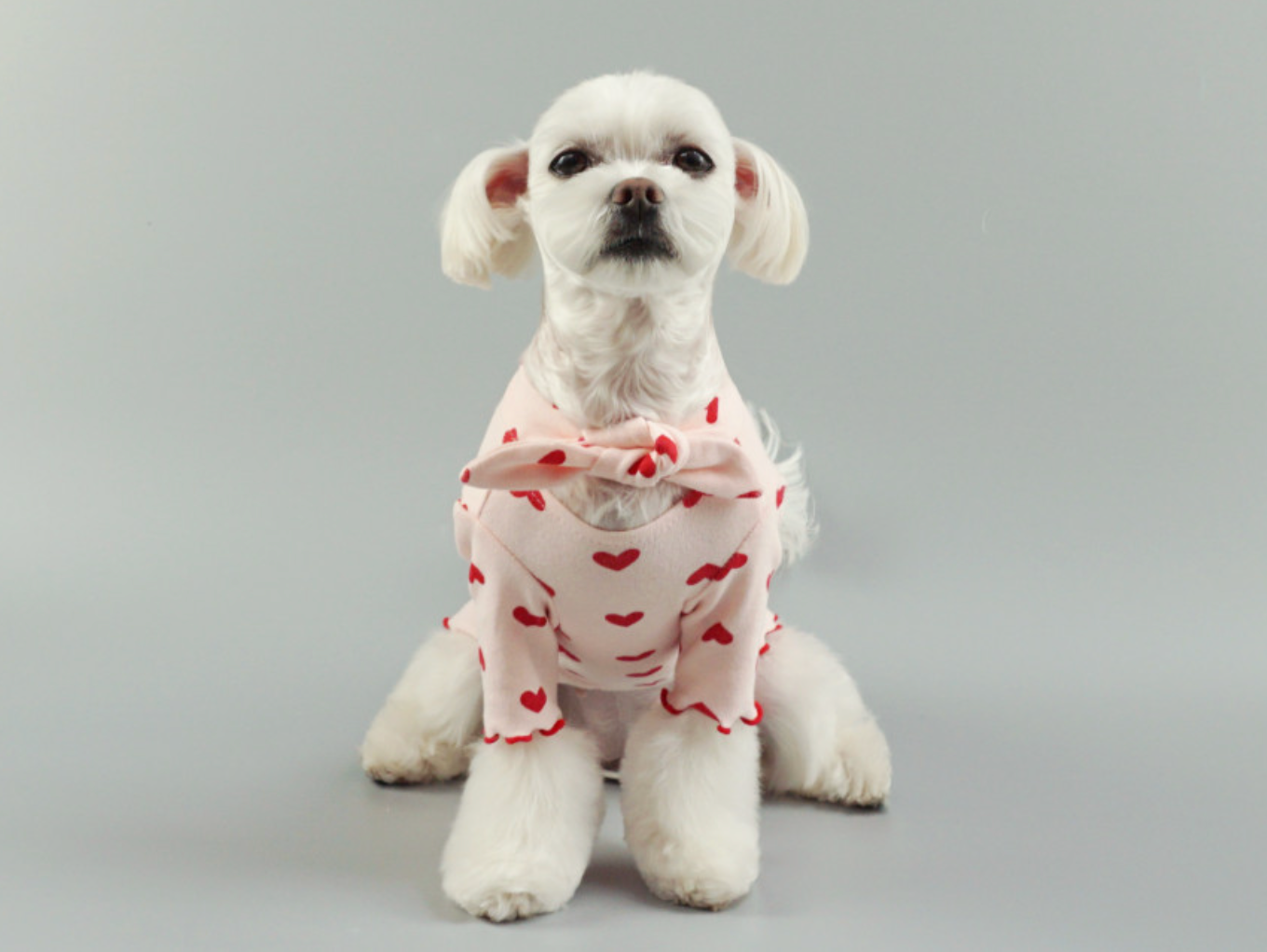 Heart Ribbon Tee (3 colors)