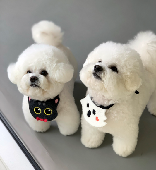 Halloween Bibs (3 styles)