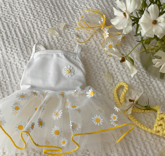 Picnic TuTu Dress (2 styles)