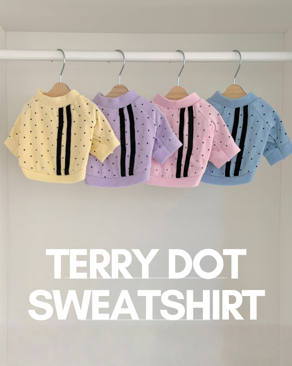 Terry Dot Sweatshirt (4 colors)