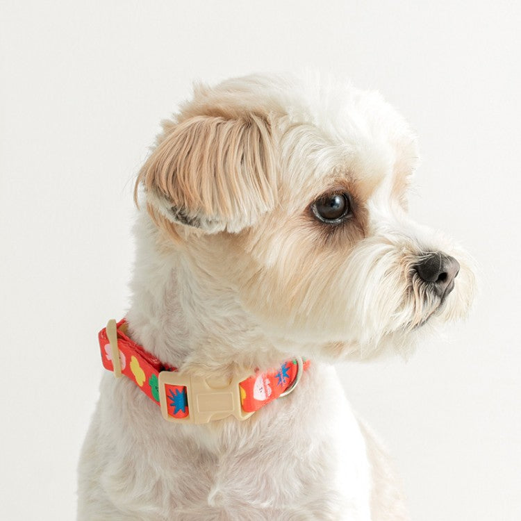 PPP STUDIO - Dog Collar (2 colors)