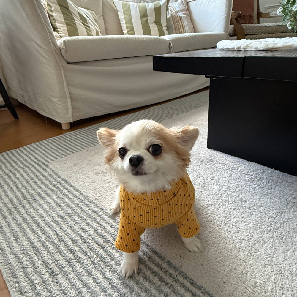 Polka Corduroy Turtleneck Tee (5 colors)