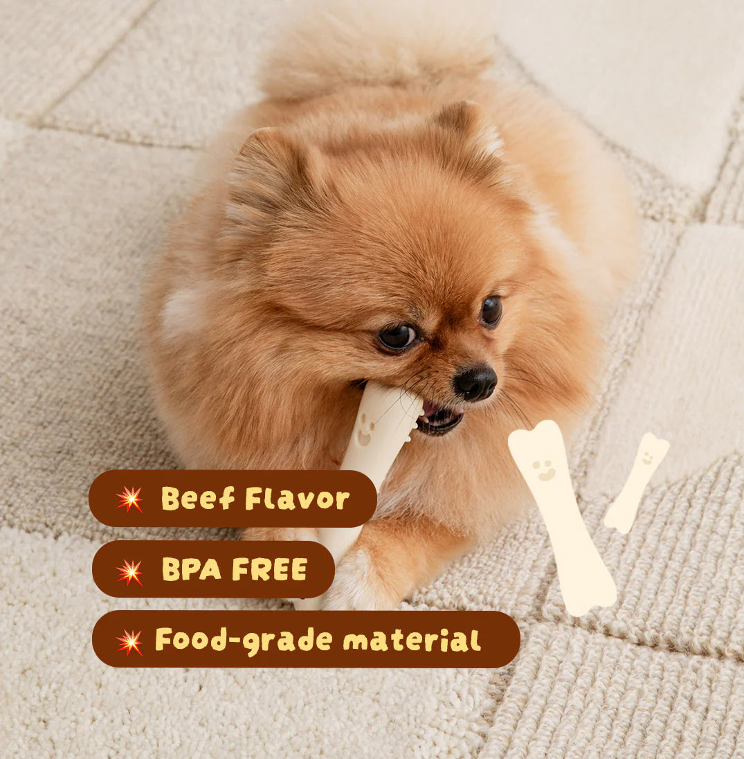 Buddy Bone Nylon Toy