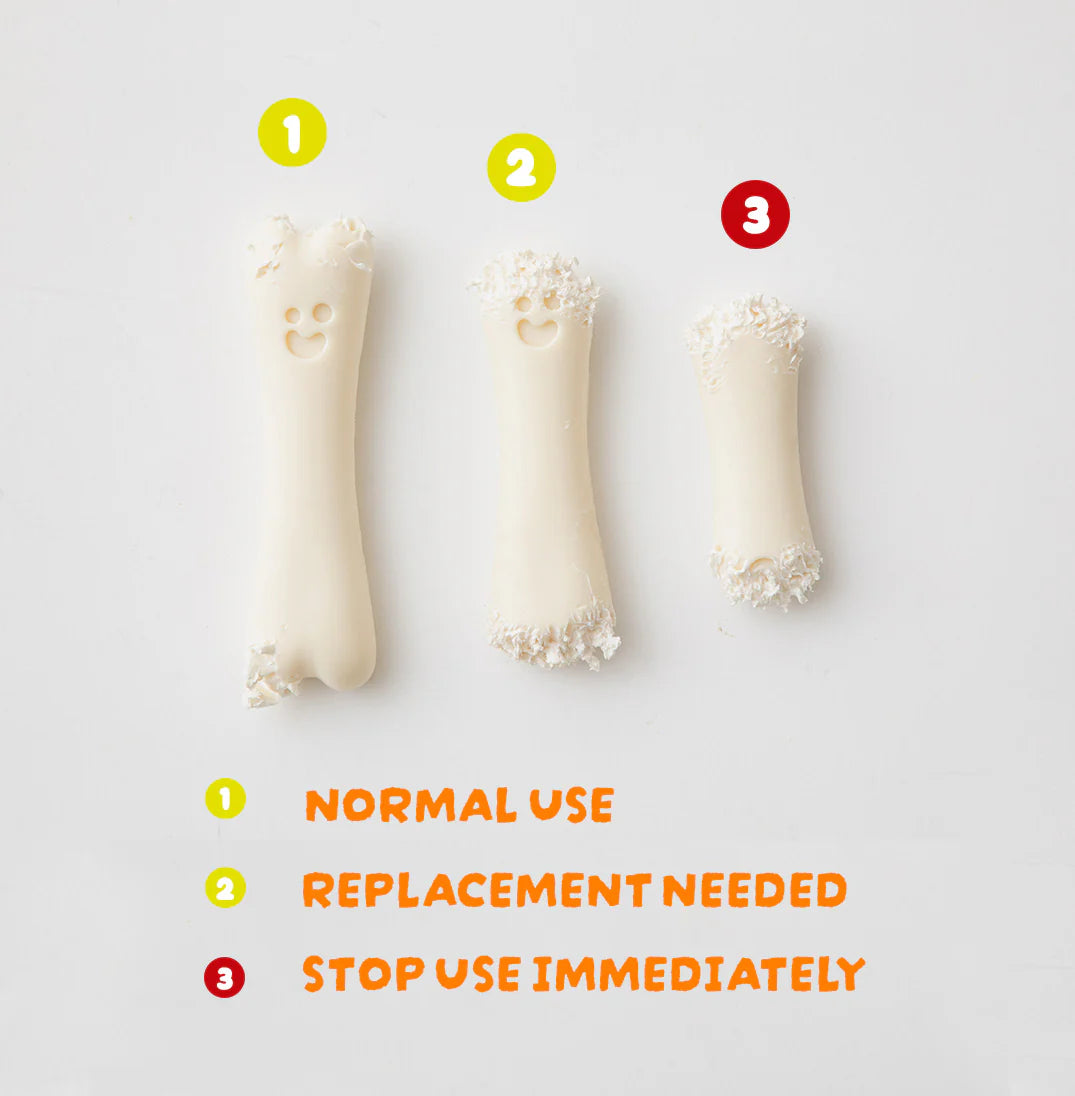 Buddy Bone Nylon Toy