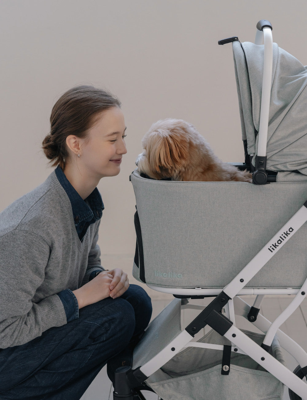 Duo Flex Pet Stroller (2 colors)