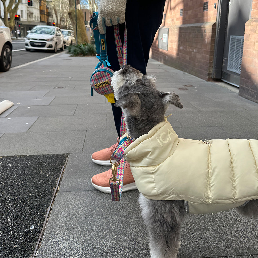 Thermo 3 Adventure Padding (Creamy Butter) Preorder