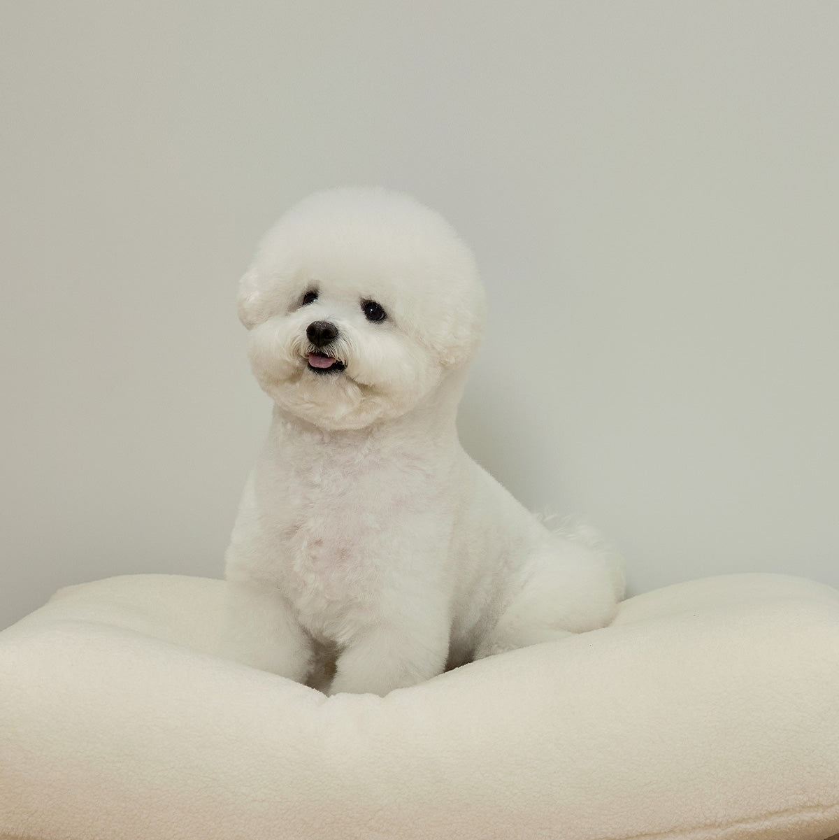 Rest Bed Fleece Cream