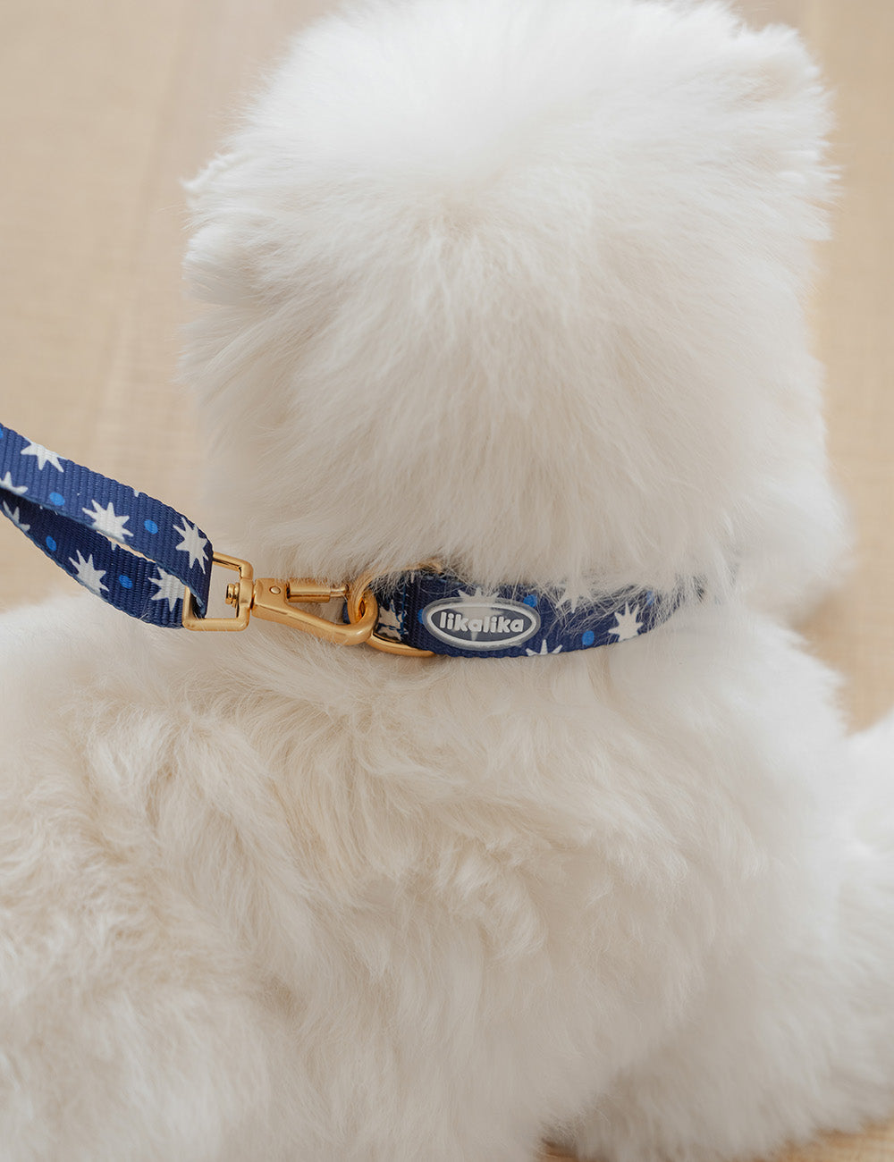 Stella Star Pop Dot Collar (2 colors)