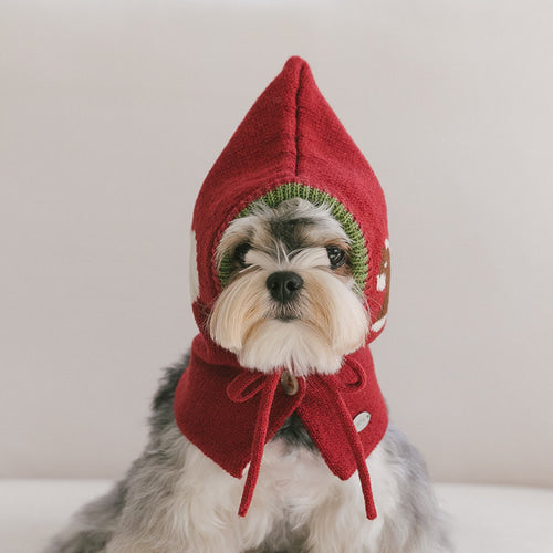 Cozy Bestie Balaclava (2colors) preorder