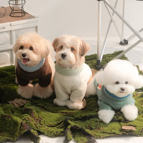 Winter Palette Fleece T-shirt (3 colors)