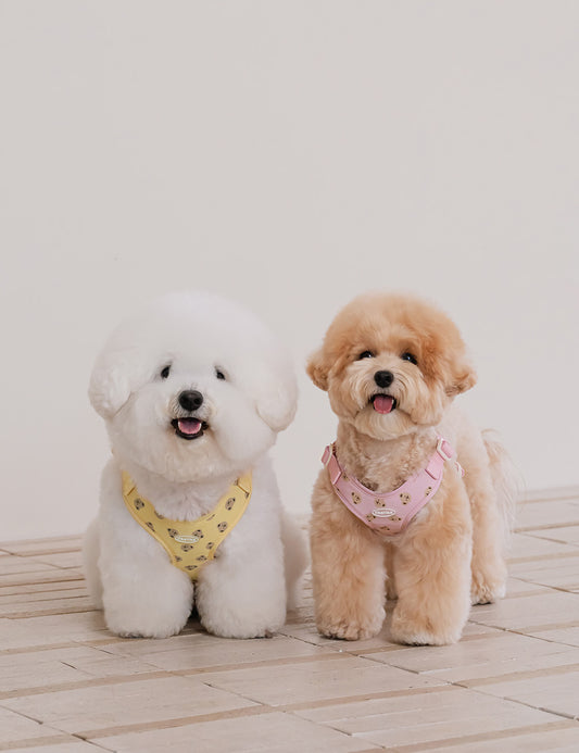 Bear Bebe Harness X-type (3 colors)