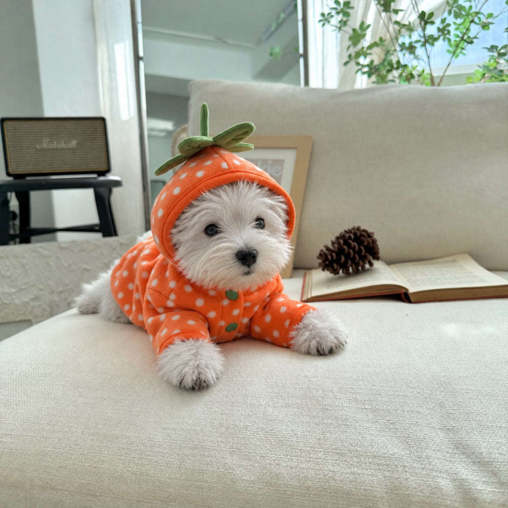 Fruity Dot Fleece Jacket (2 colors)