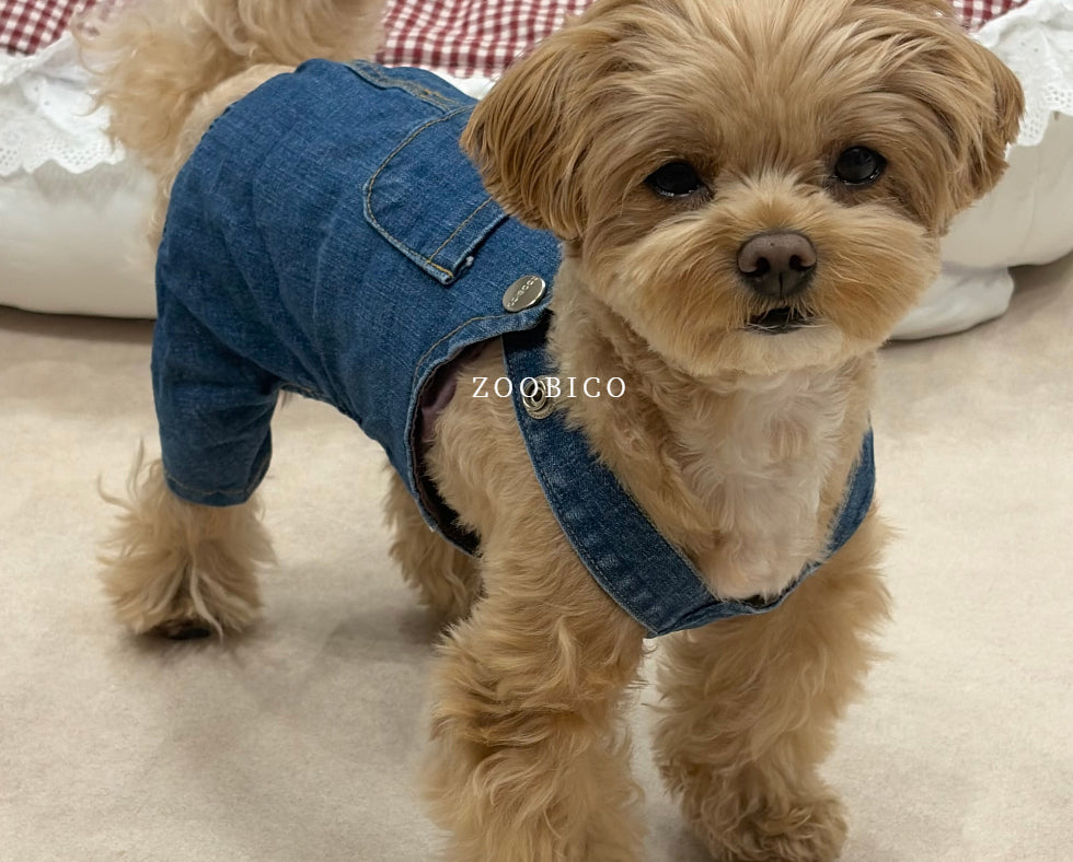 Washed Denim Onesie & Dress