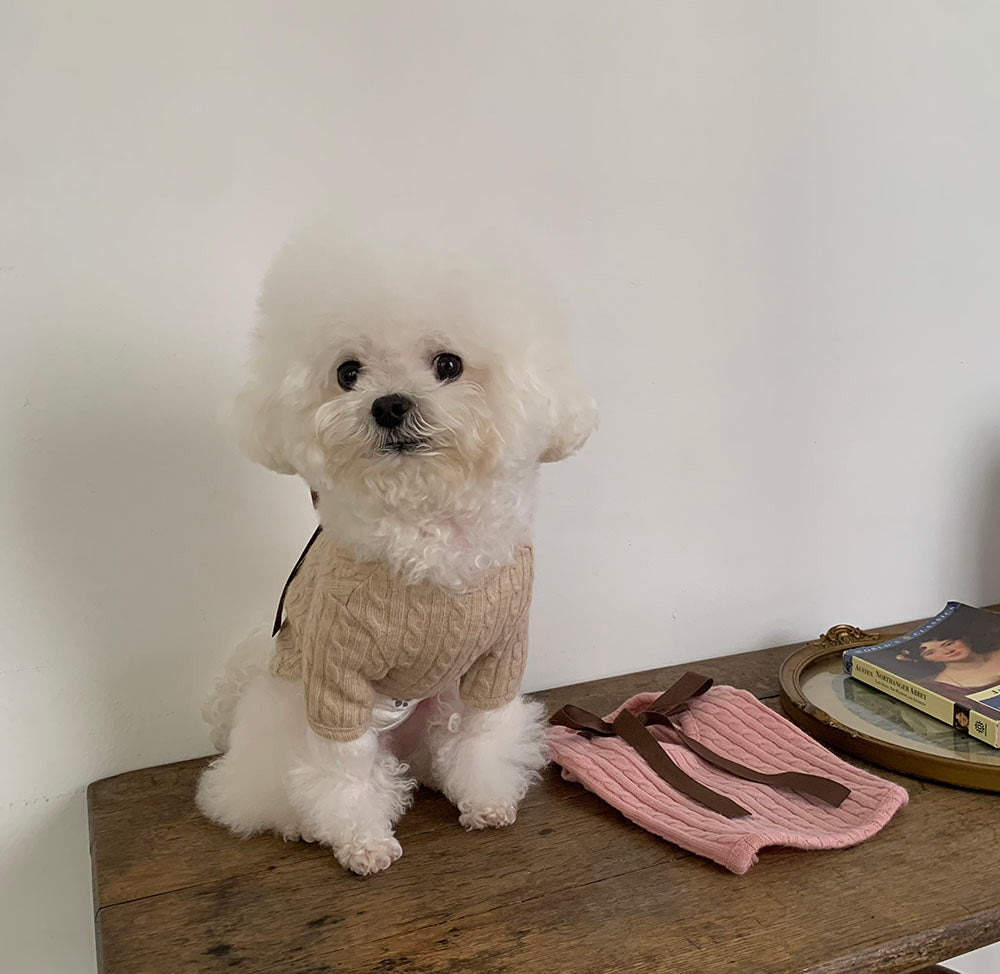 Ballet Knit Tee (2 colors)