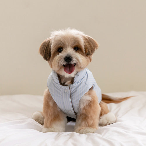 Mongle Reversible Puffer Jacket (3 colors) Preorder