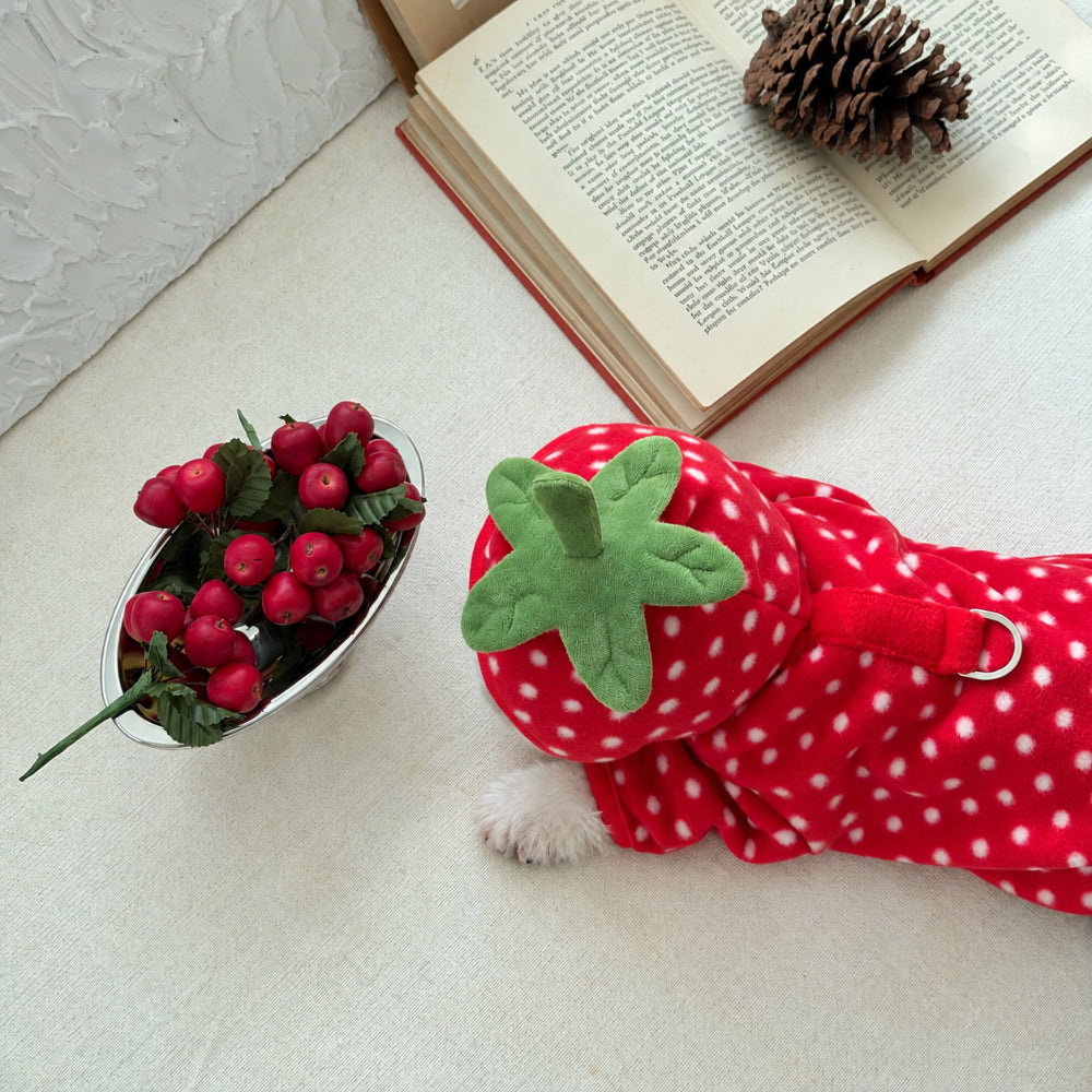Fruity Dot Fleece Jacket (2 colors)
