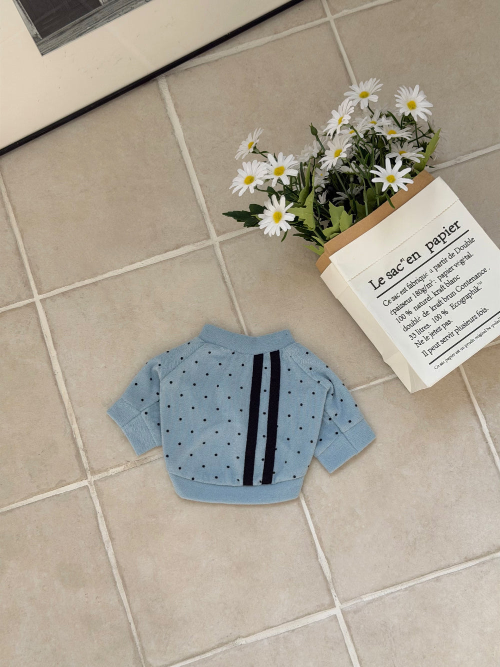 Terry Dot Sweatshirt (4 colors)
