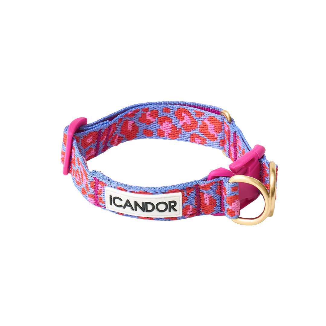 Gentle Collar Dual (Leopard Lavender Blue)