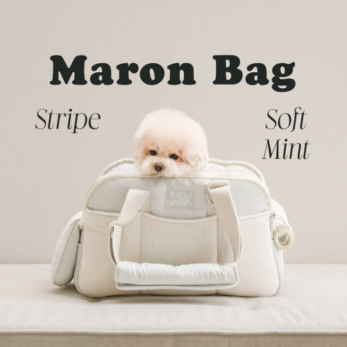 Maron Bag Stripe Pet Carrier (Soft Mint)
