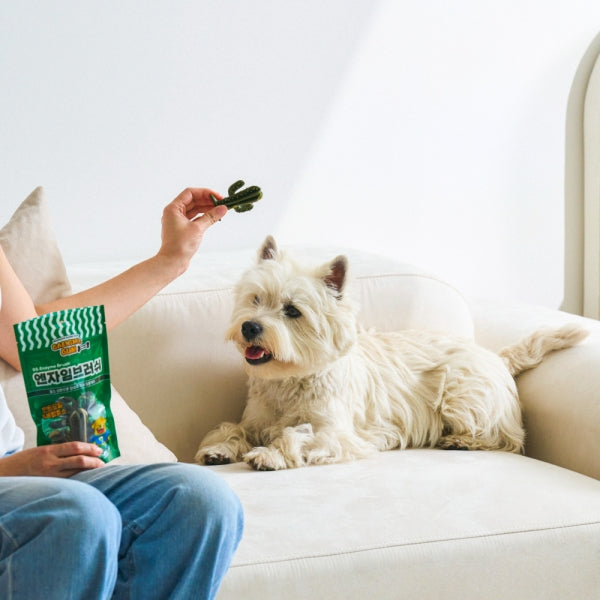 Enzymes Dental Chew
