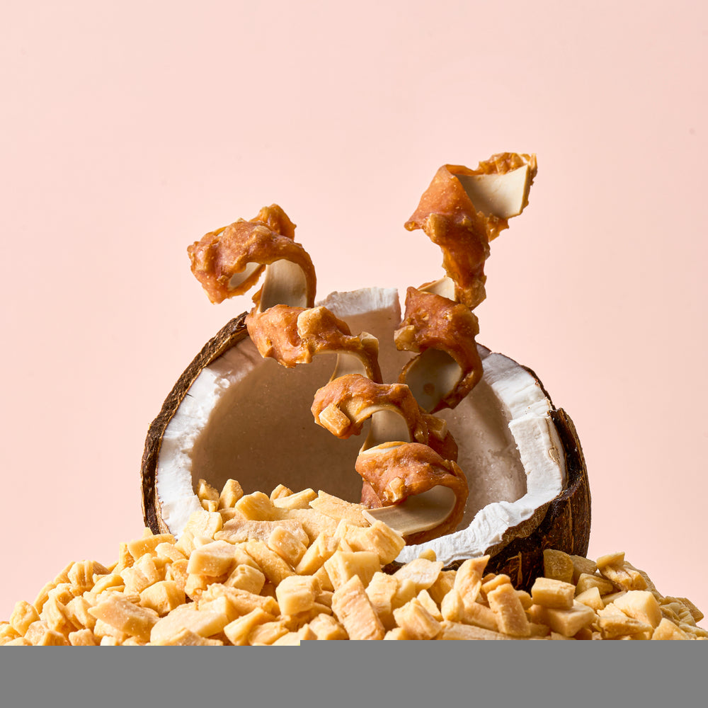 Chicken Coconut Roll