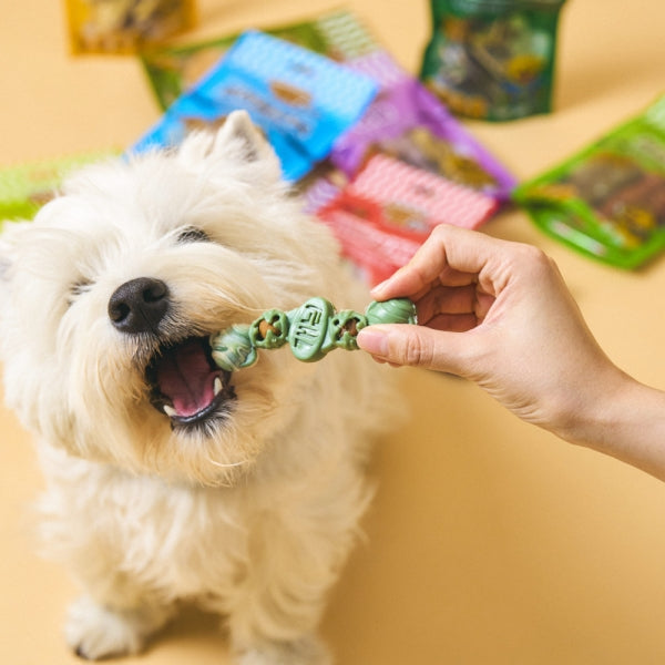Larva Dental Chew Red & Green Fruits & Duck