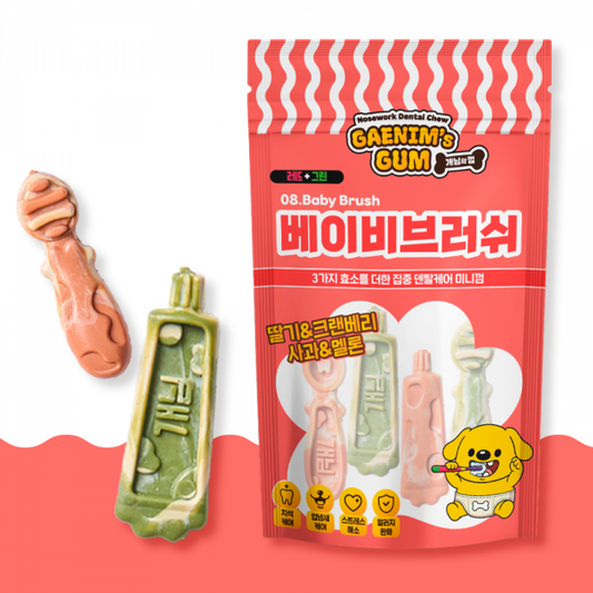 Baby Brush Dental Chew Red & Green Fruits