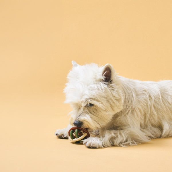 Rattles Ball Dental Chew