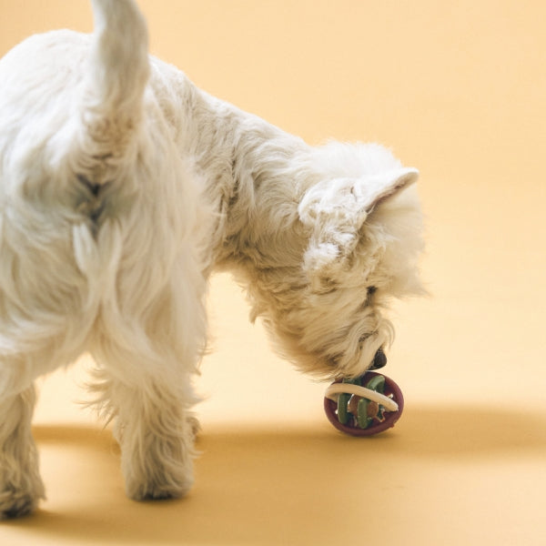 Rattles Ball Dental Chew