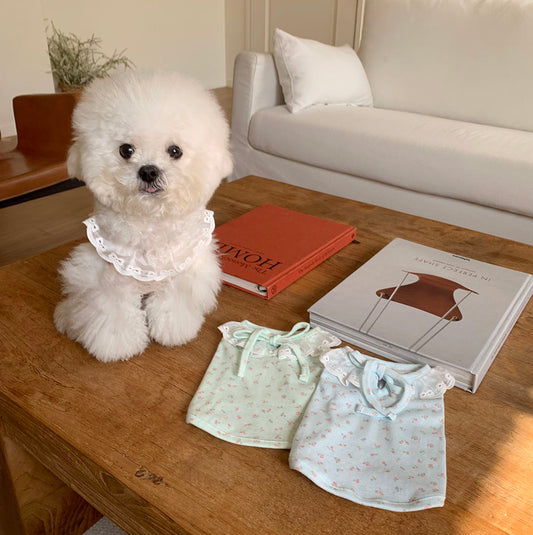 Mini Garden Lace Tee (3 colors)