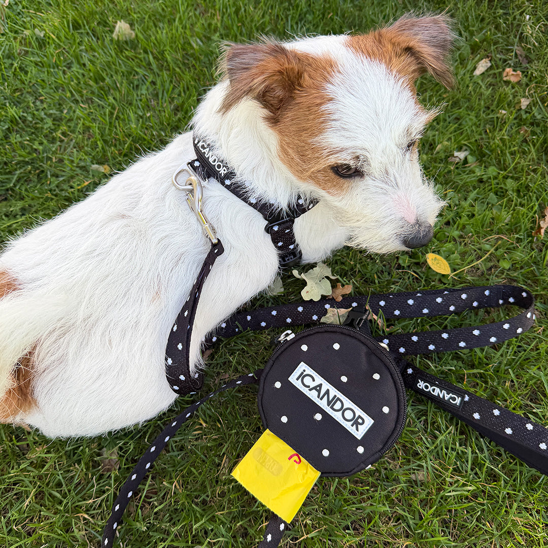 Dingle Dangle Poop Bag Pouch (Polka Dot)