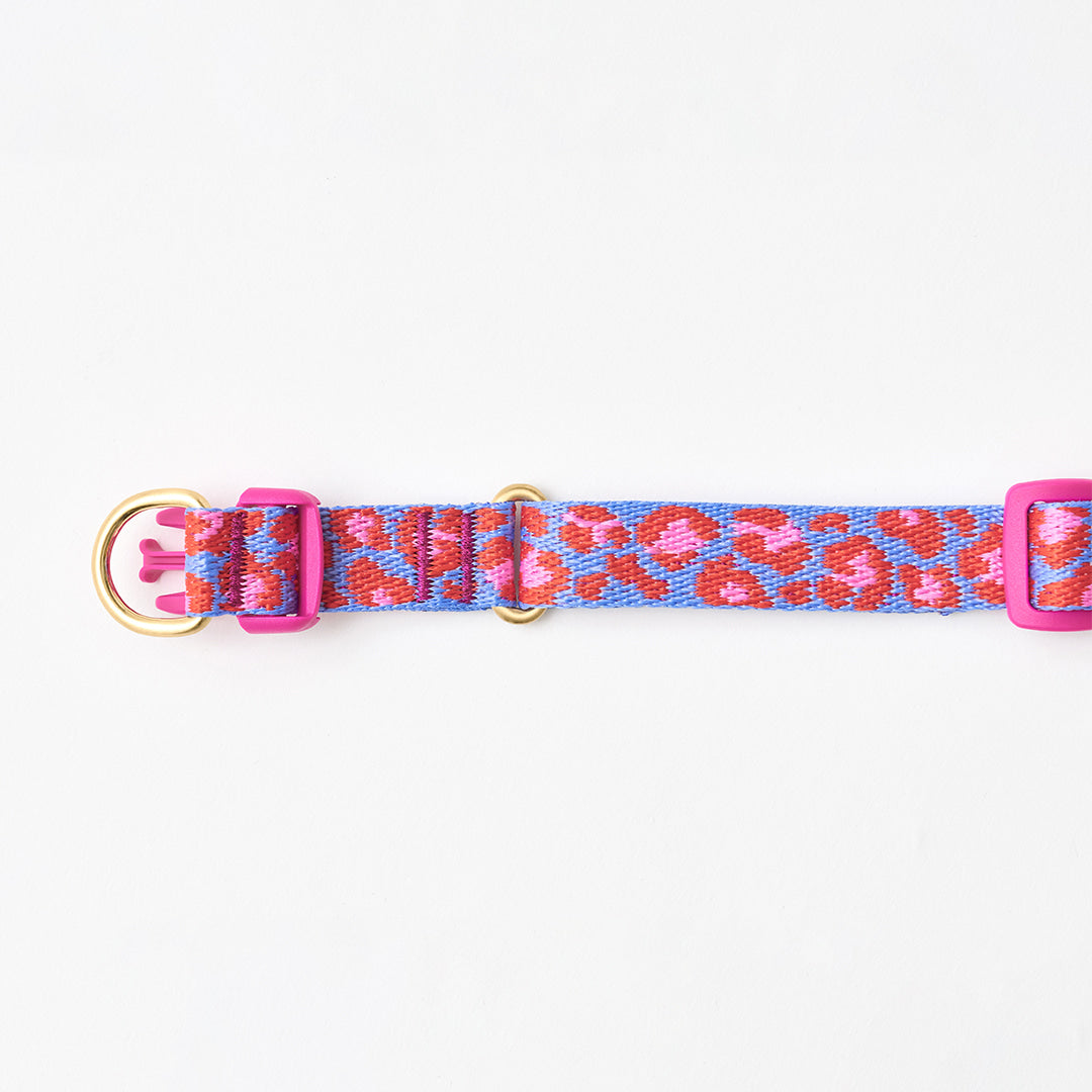 Gentle Collar Dual (Leopard Lavender Blue)