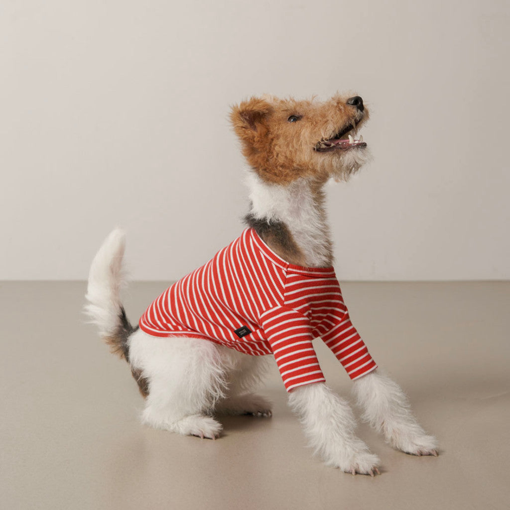 Striped T-Shirt (Cherry Red) Preorder