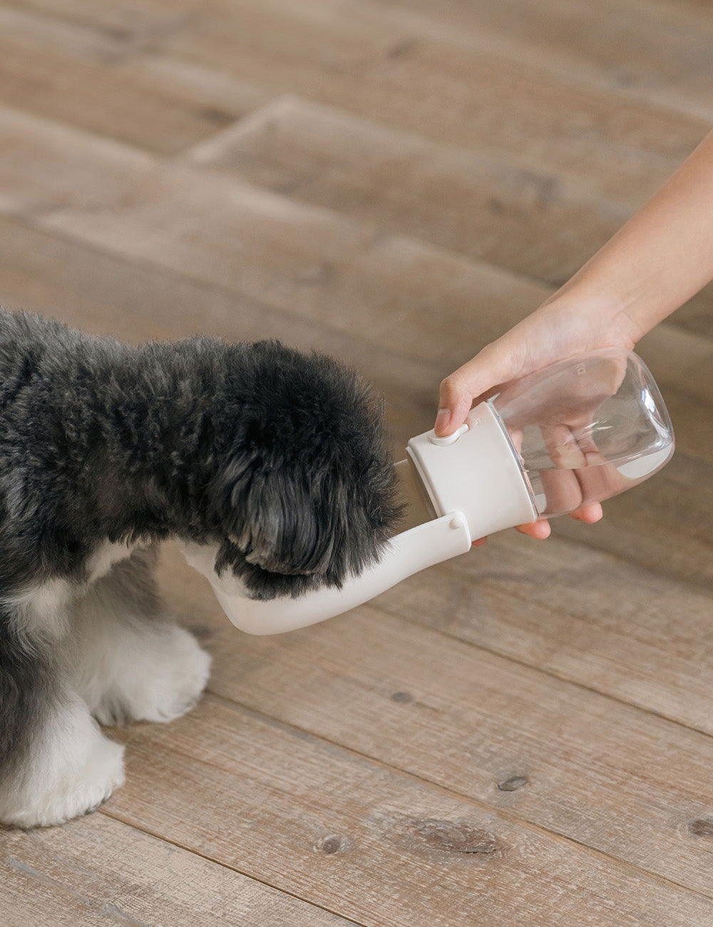 Portable Return Water Bottle (2 colors)