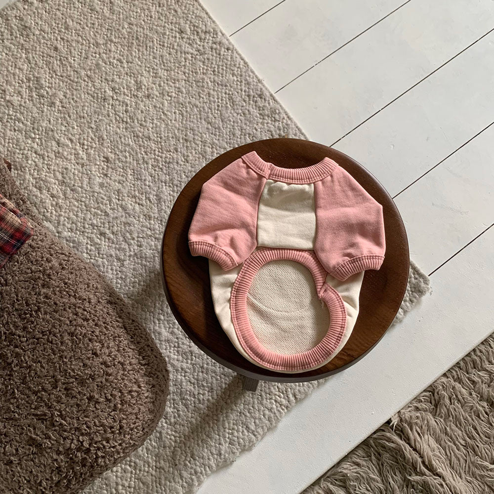 Bear Patch Raglan Sweatshirt (4 colors)