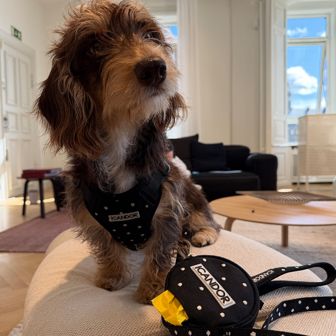 Dingle Dangle Poop Bag Pouch (Polka Dot)