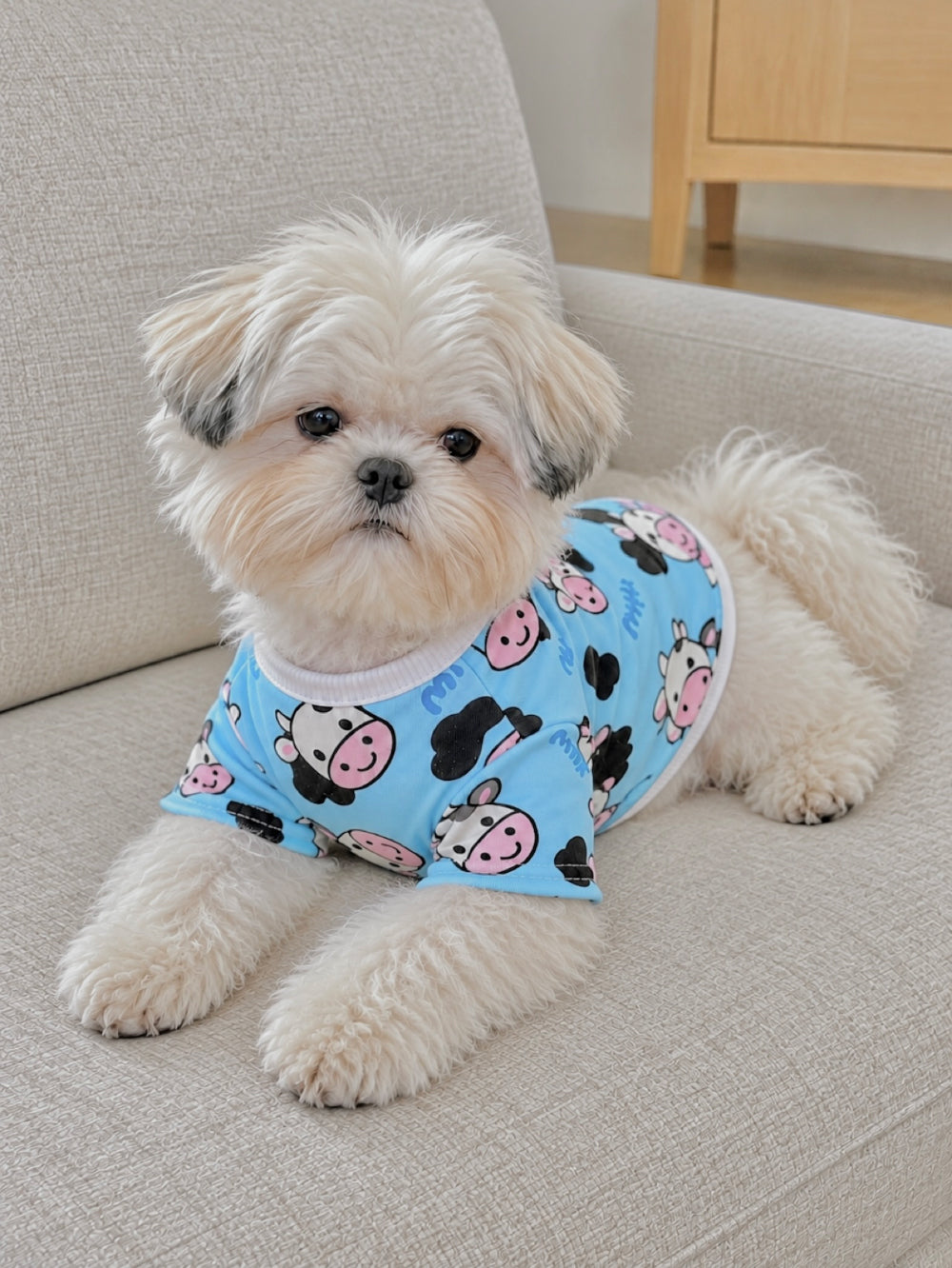 Milk Cow Long Sleeve Tee & Onesie