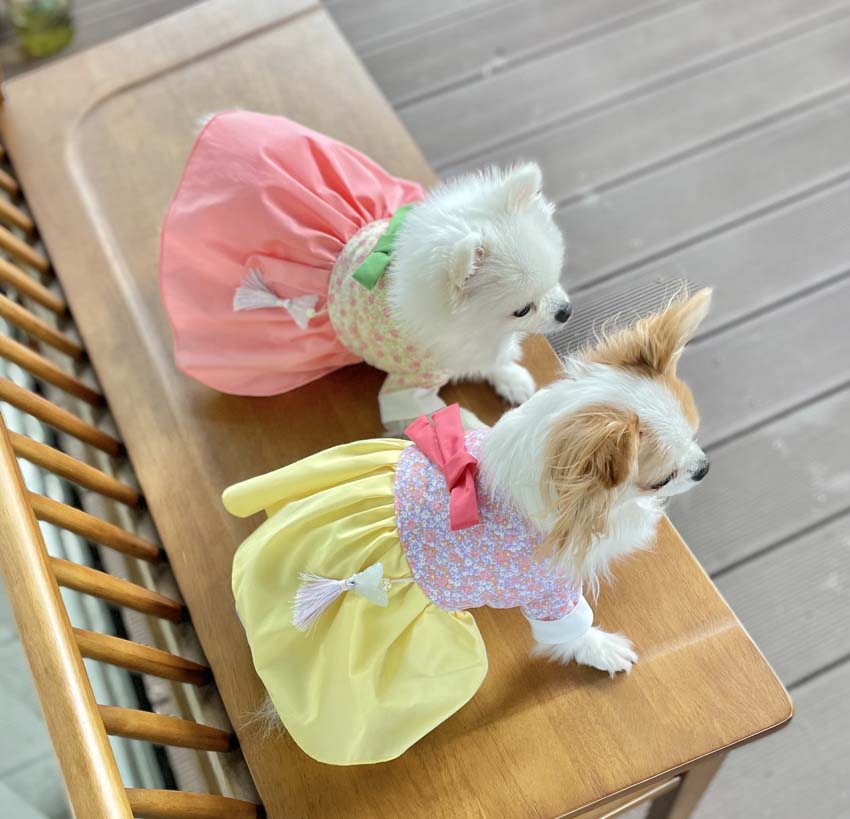 Little Lady Hanbok Dress (2 colors)