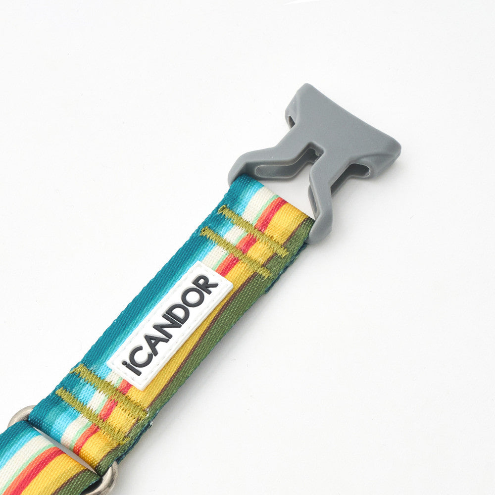 Martingale Collar Buckle (Ripple)
